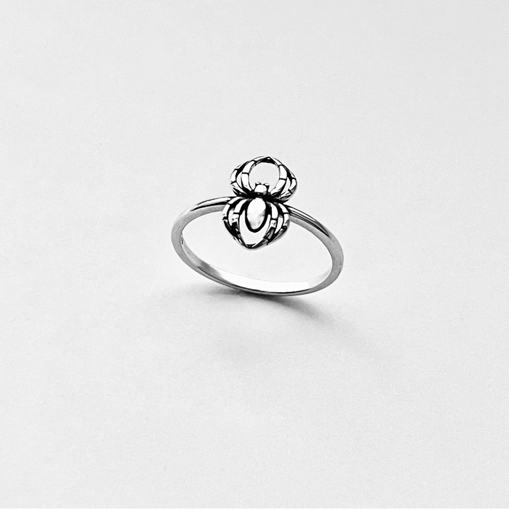 Sterling Silver Small Spider Ring, Bug Rings, Insect Bugs, Spiderweb, Spiders